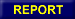 Report